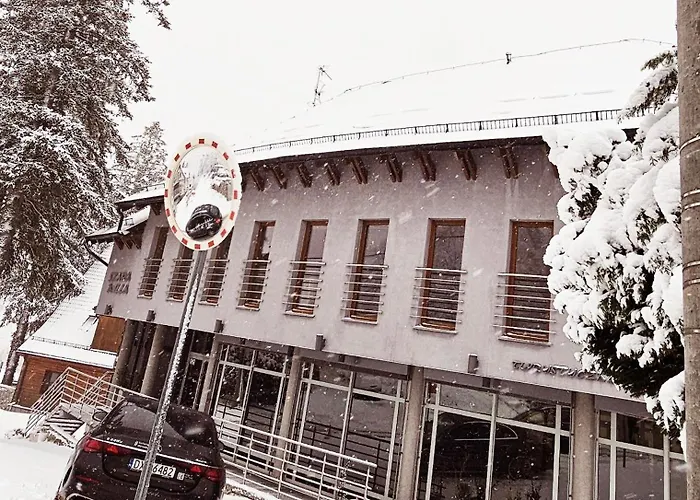 Szara Tuz Przy Wyciagu Na Szrenice Couette-café