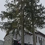 Szara Tuz Przy Wyciagu Na Szrenice