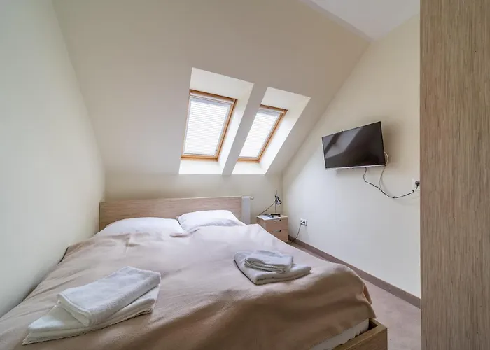 Szara Tuz Przy Wyciagu Na Szrenice